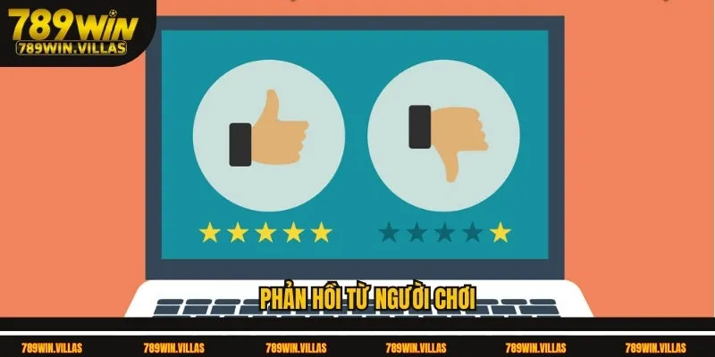Phản Hồi Từ Người Chơi