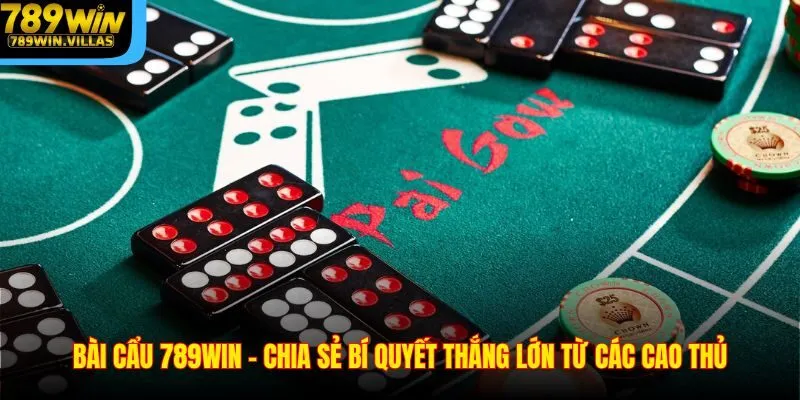Bài Cẩu 789WIN - Chia Sẻ Bí Quyết Thắng Lớn Từ Các Cao Thủ