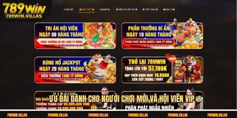 Casino 789win - Sân Chơi Đỉnh Cao Được Săn Đón Nhất 2025 3 Ưu đãi dành cho người chơi mới và hội viên VIP