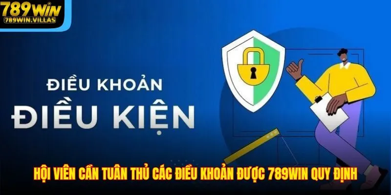 Hội viên cần tuân thủ các điều khoản được 789WIN quy định