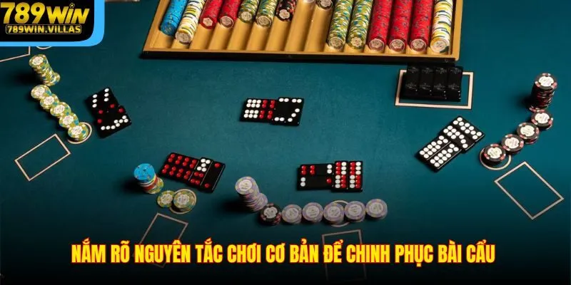 Bài Cẩu 789WIN - Chia Sẻ Bí Quyết Thắng Lớn Từ Các Cao Thủ 3 Nắm rõ nguyên tắc chơi cơ bản để chinh phục bài cẩu