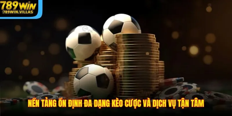 Thể Thao 789win – Sân Chơi Cá Cược Được Ưa Chuộng Nhất 3 Nền tảng ổn định đa dạng kèo cược và dịch vụ tận tâm